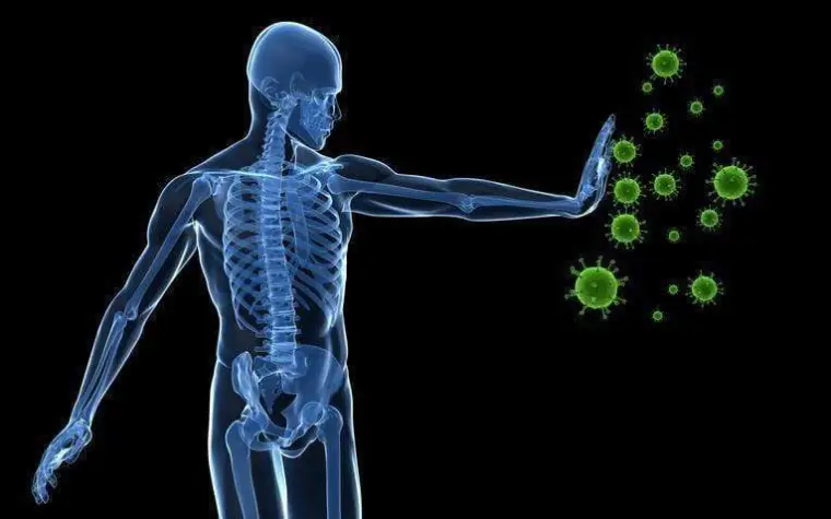 Petit cours de physiologie