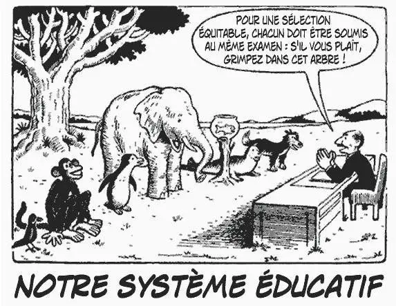 L’éducation…