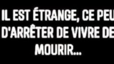 Capture d’écran 2023-05-29 à 11.16.04