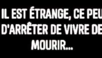 Capture d’écran 2023-05-29 à 11.16.04