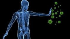 122635351_3325426877525715_2072972365560954774_n