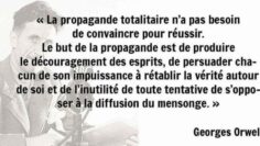 130007134_3438596229542112_5752329497299184605_n