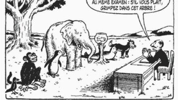 130125536_3436763986392003_8591636293897032059_n